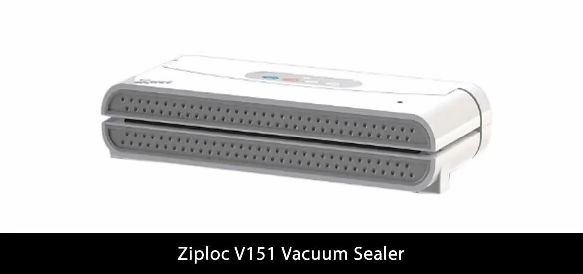 Ziplock V151 Review image