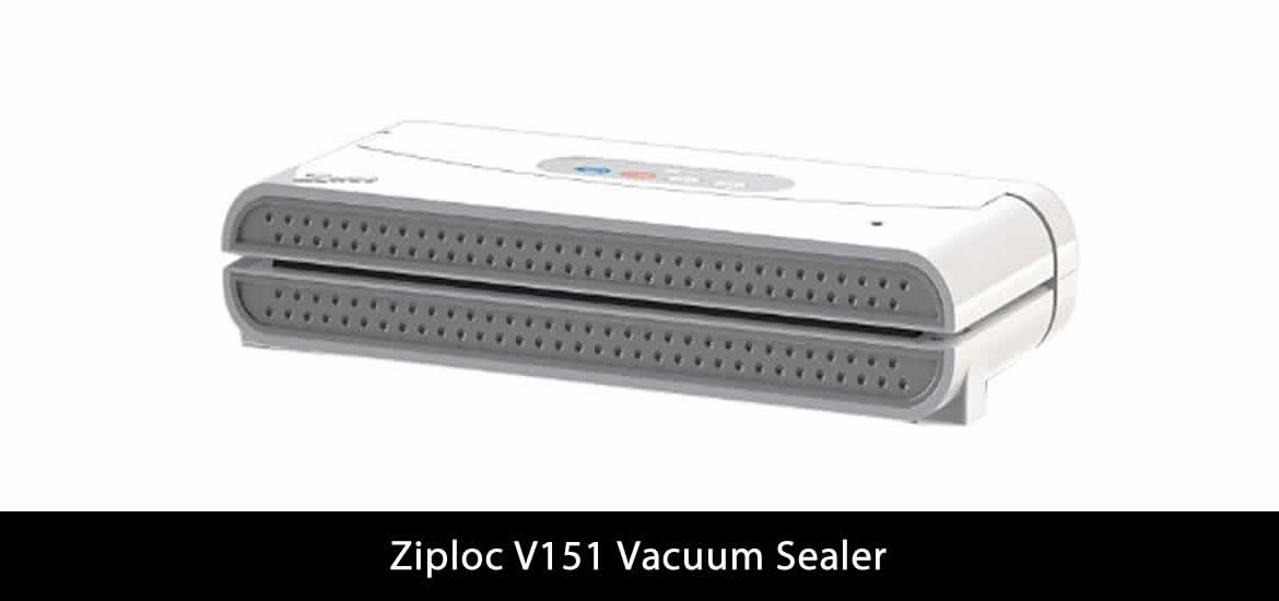 ziploc v151
