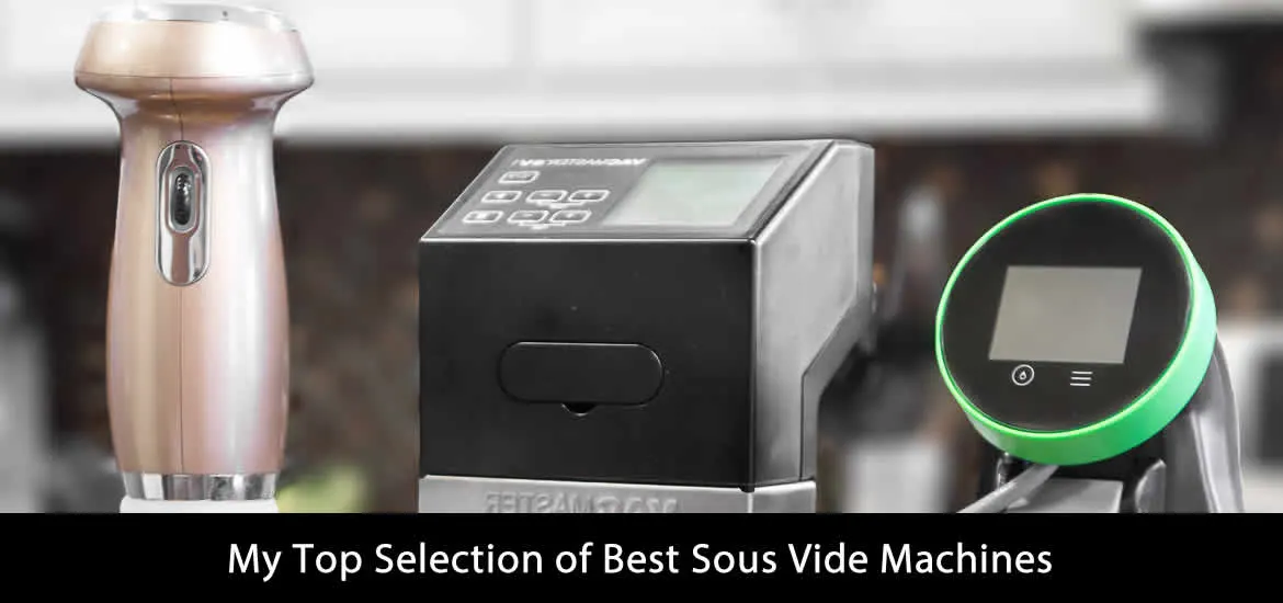 The Top 12 Best Sous Vide Machines For Home Kitchens 2023 image