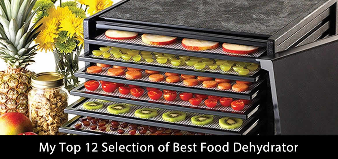 Top 12 Best Food Dehydrator Reviews of 2023 - Ready for Ten
