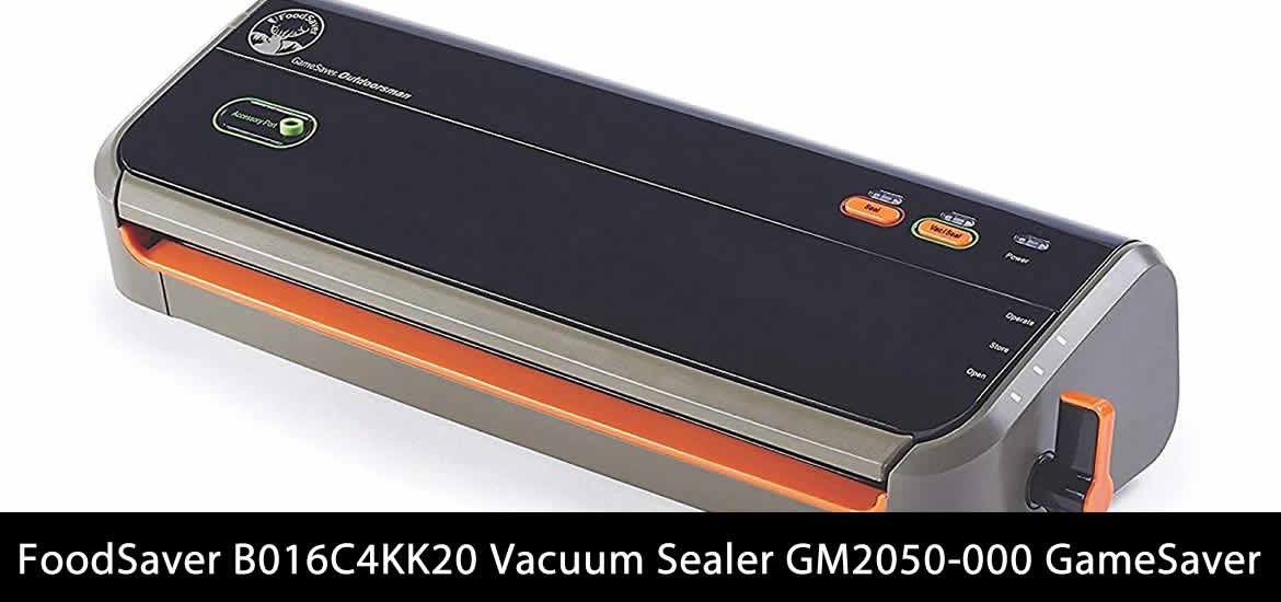 FoodSaver GM2050-000 Review