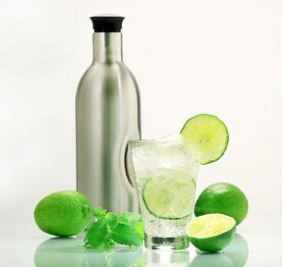 SodaPlus SP76327 Soda Carbonating Starter Kit