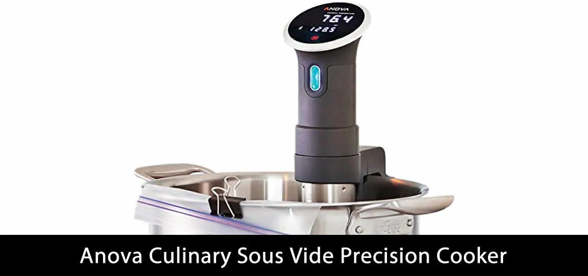 Anova Culinary Sous Vide Precision Cooker