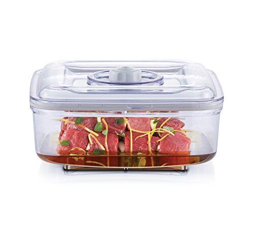 Foodsaver quick marinator