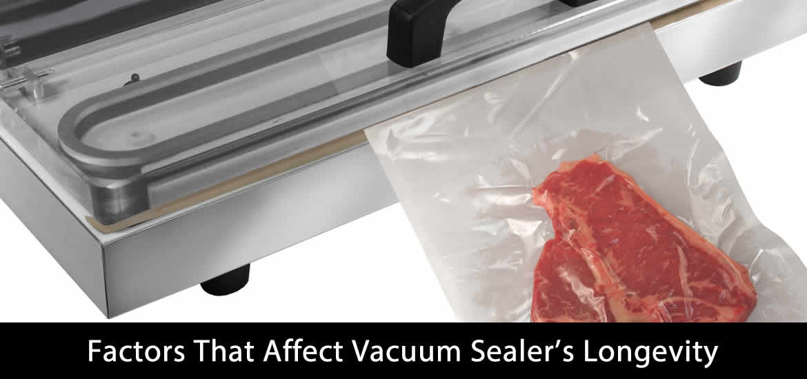 Vacuum Sealers' Longevity