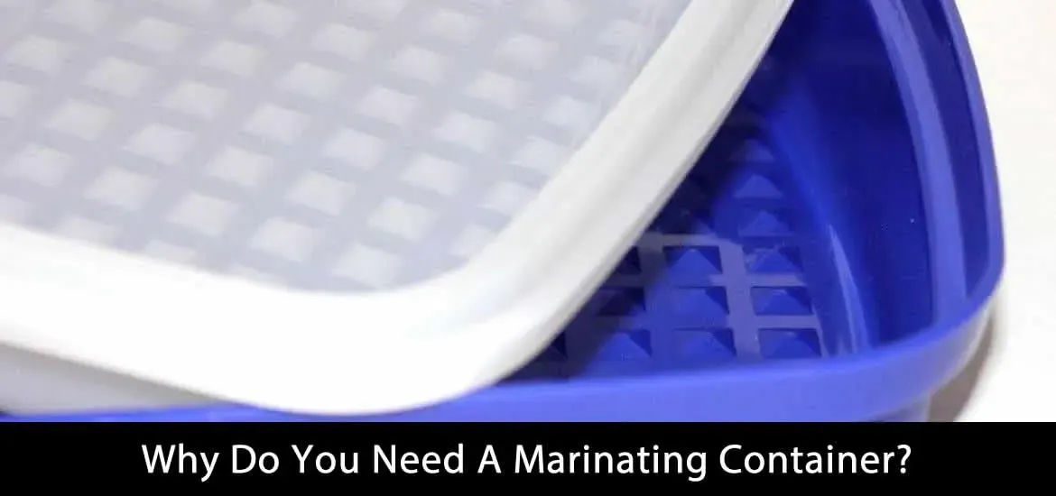 Why Do You Need A Marinating Container?