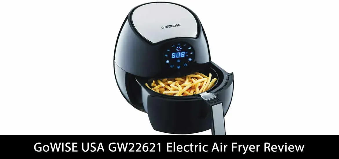 GoWISE USA GW22621 Electric Air Fryer Review