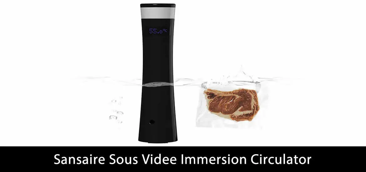 Sansaire Sous Vide Immersion Circulator Review image