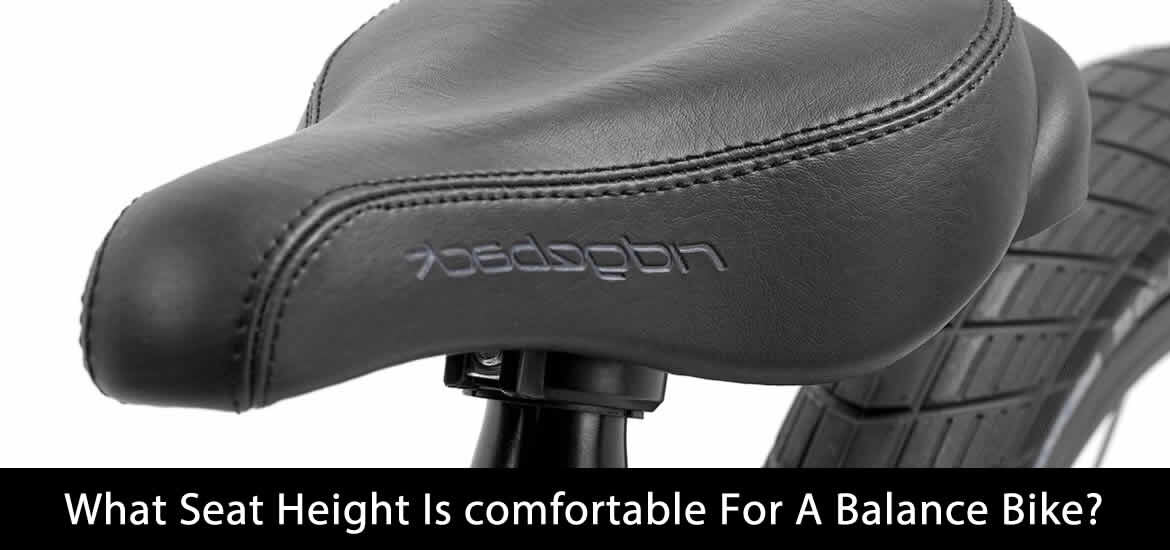 Seat Height