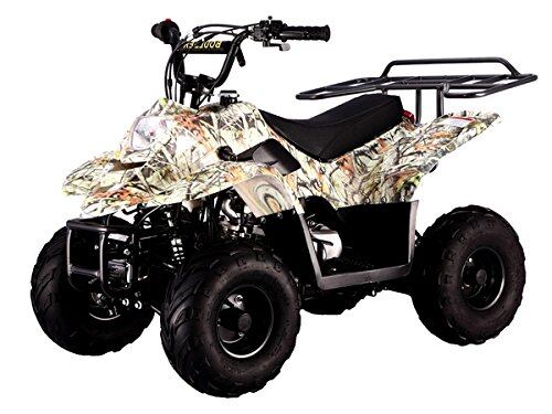 SMART DEALSNOW Brings Brand New 110cc ATV 4 wheeler
