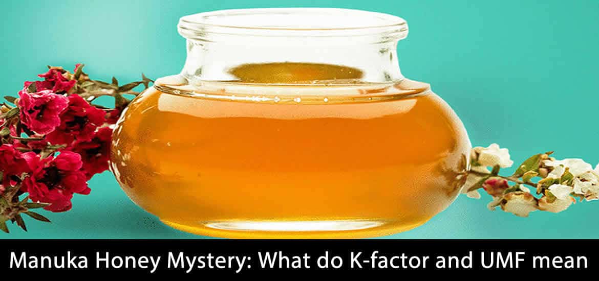 Decoding the Manuka Honey Mystery: What do K-factor and UMF mean