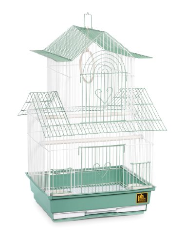 Prevue Hendryx Shanghai Parakeet Cage