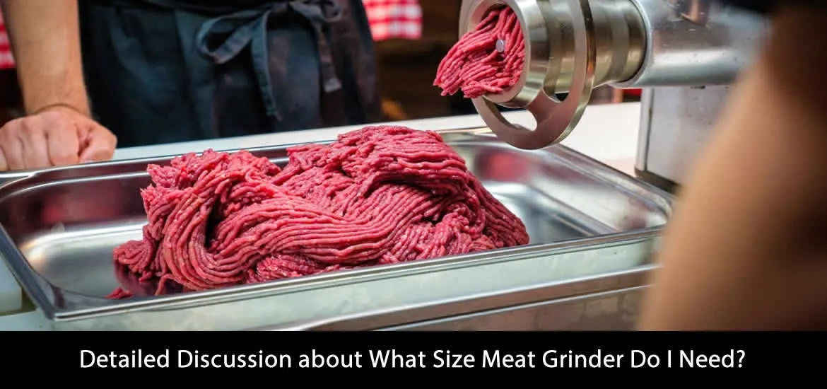 Detailed Discussion about What Size Meat Grinder Do I Need? image